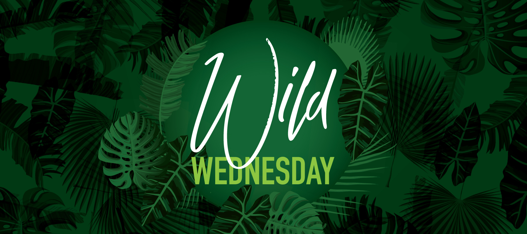 Wild Wednesday at Point Place Casino